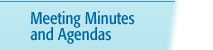 MEETING MINUTES